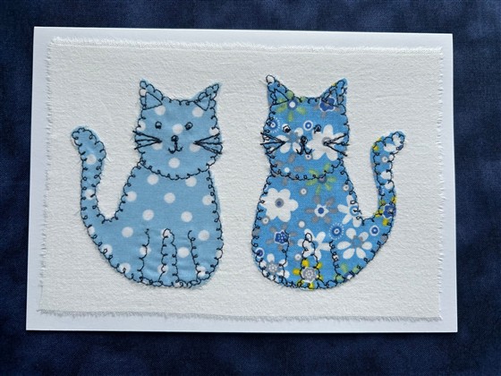 blue cat pair on white