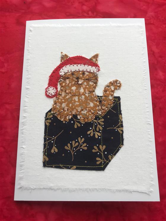 christmas cat in a navy present on white