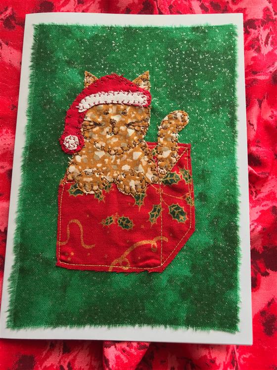 christmas cat in a red present on sparkly green