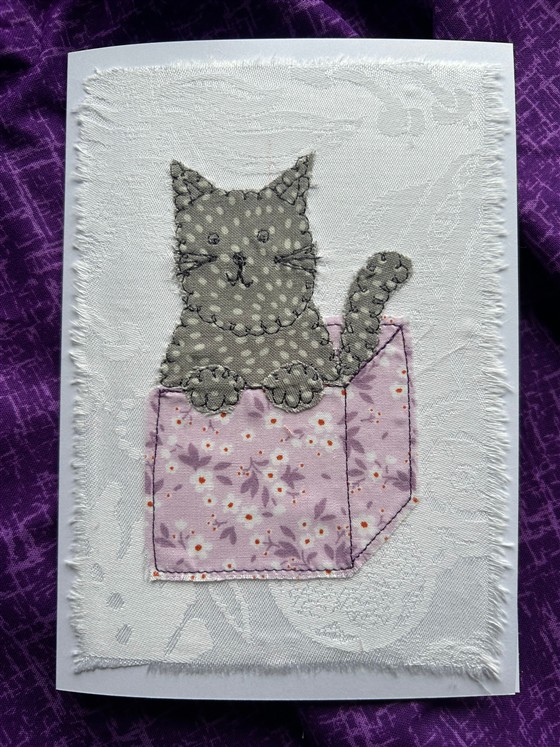grey cat greeting card on white