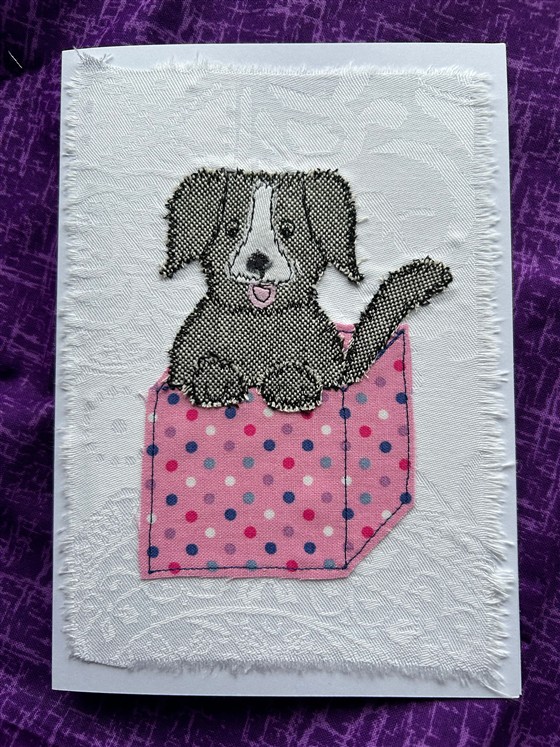 puppy in a pink spotty present card