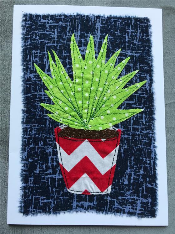 spiky aloe vera on navy greeting card